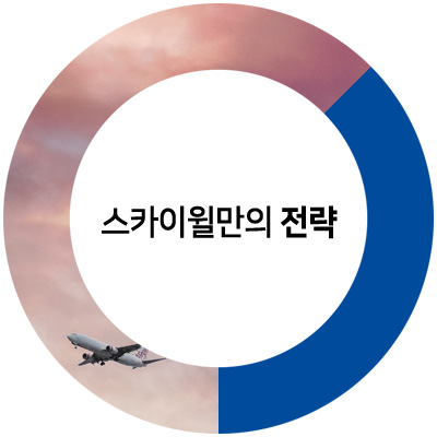 스카이윌만의 전략